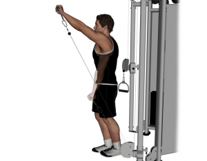 Cable-Standing-One-Arm-Front-Raise-622x485