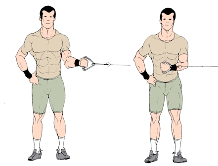 shoulder-internal-rotation